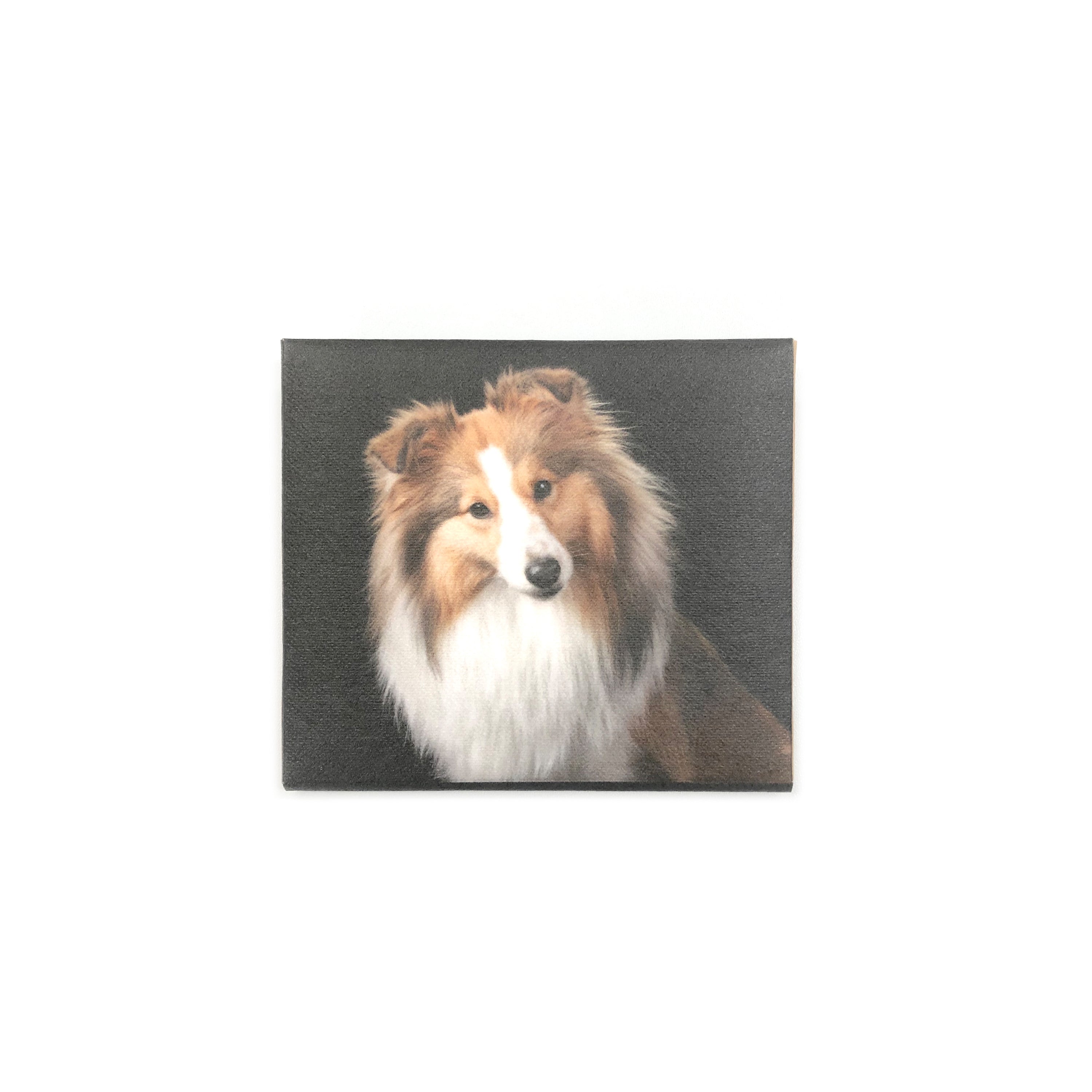 MASKfolio S [Sheltie] - Papery.Art